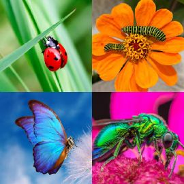 4 Images 1 Mot Avril 1 2026 Puzzle bonus