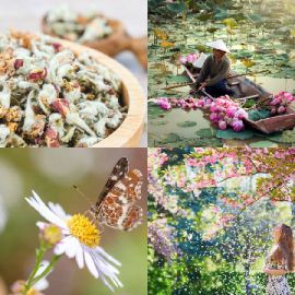 4 Images 1 Mot Avril 27 2026 Puzzle bonus