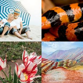 4 Images 1 Mot Avril 15 2026 Puzzle bonus