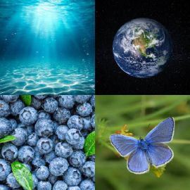 4 Images 1 Mot Avril 3 2026 Puzzle bonus