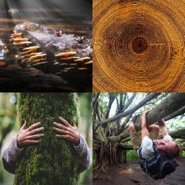 4 Images 1 Mot Énigmes journaliére Avril 12 2026