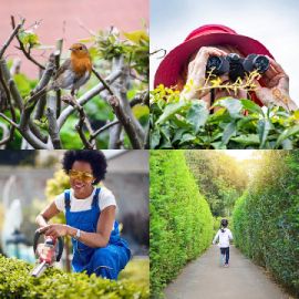 4 Images 1 Mot Avril 24 2026 Puzzle bonus