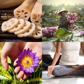 4 Images 1 Mot Avril 29 2026 Puzzle bonus