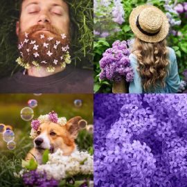 4 Images 1 Mot Avril 30 2026 Puzzle bonus