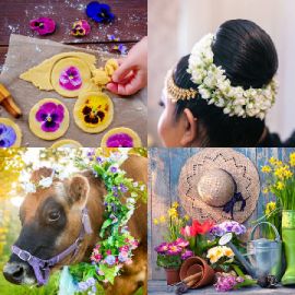 4 Images 1 Mot Avril 20 2026 Puzzle bonus