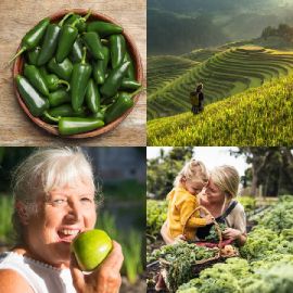 4 Images 1 Mot Énigmes journaliére Avril 22 2026