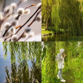 4 Images 1 Mot niveau 6626