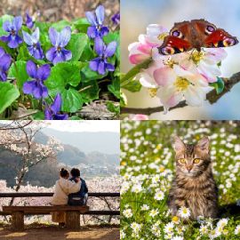 4 Images 1 Mot niveau 3254