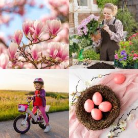 4 Images 1 Mot Avril 28 2026 Puzzle bonus