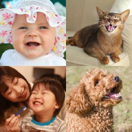 4 Images 1 Mot Septembre 6 2026 Puzzle bonus