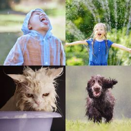4 Images 1 Mot Septembre 7 2026 Puzzle bonus
