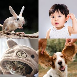 4 Images 1 Mot Septembre 9 2026 Puzzle bonus