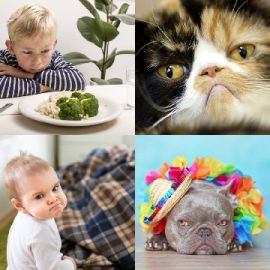4 Images 1 Mot Septembre 12 2026 Puzzle bonus