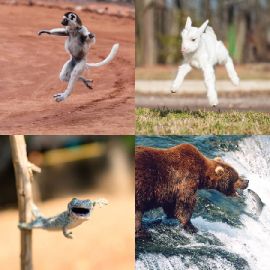 4 Images 1 Mot Énigmes journaliére Septembre 12 2026