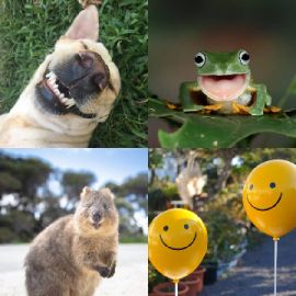4 Images 1 Mot niveau 6691