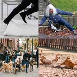 4 Images 1 Mot niveau 6693